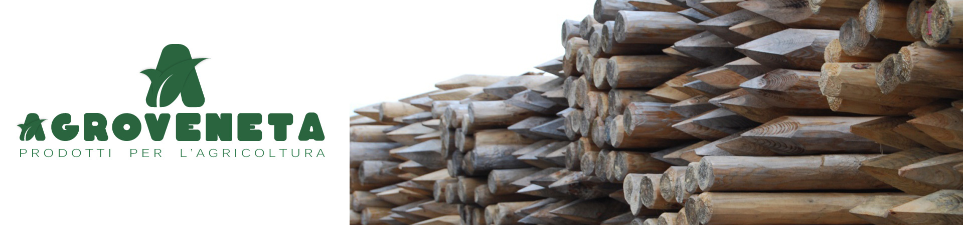header_image