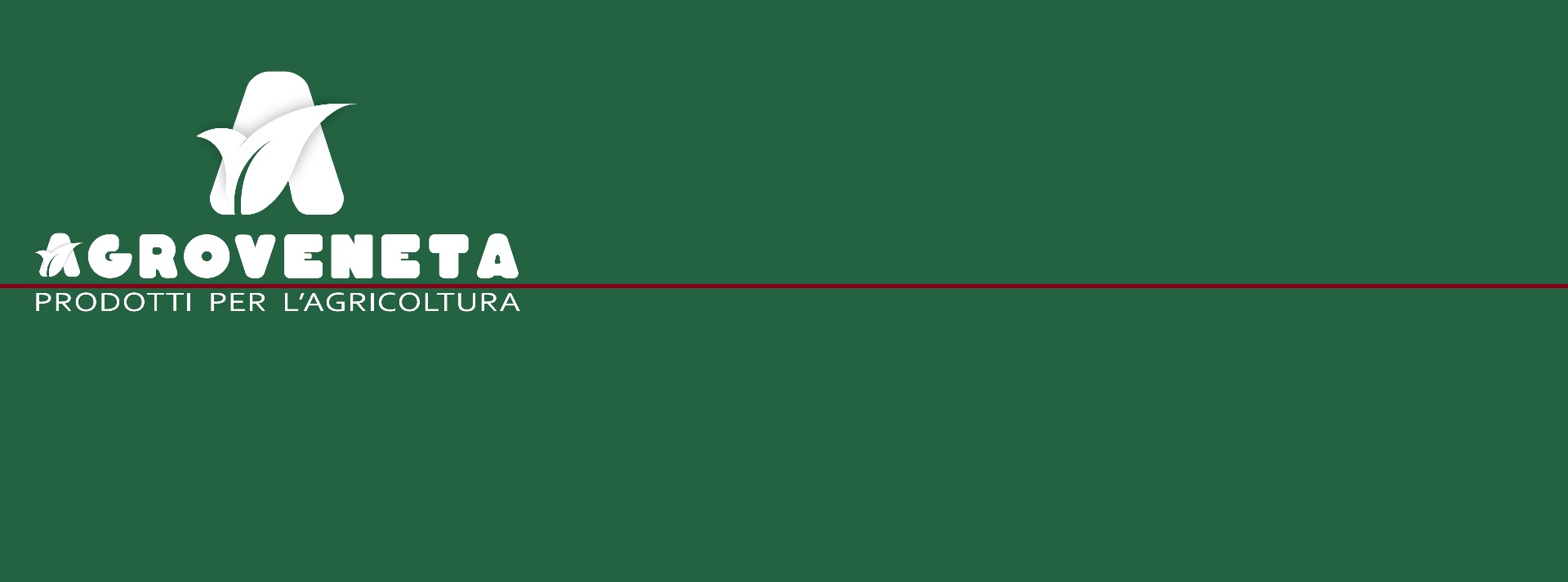 header_image